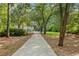 Picturesque view of a long driveway leading to a home surrounded by trees at 207 Lees Lake Rd, Fayetteville, GA 30214