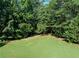 An expansive backyard showcasing the lush green grass and wooded perimeter at 10770 Glenhurst Pass, Duluth, GA 30097