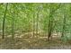 Tranquil view of a wooded area, showcasing the natural surroundings of the property at 7090 River Island Cir, Buford, GA 30518