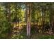 View of a wooded backyard, perfect for privacy, a nature view, and peaceful living at 1360 Mount Mickinley Dr, Grayson, GA 30017
