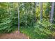 Elevated view of lush greenery, showcasing the natural setting and verdant landscape at 2703 Country Park Dr, Smyrna, GA 30080