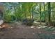 Expansive backyard featuring lush greenery, mature trees, and natural landscaping for a peaceful outdoor retreat at 4669 Dunover Cir, Atlanta, GA 30360