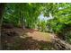 The lush backyard features mature trees and a well-maintained lawn at 454 Pine Bluff Dr, Dallas, GA 30157