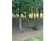 Lush backyard featuring mature trees and serene natural surroundings at 214 Trecastle Sq, Canton, GA 30114