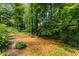 Expansive wooded backyard with pathway offering serene privacy and natural beauty, backing to wooded property at 1950 Wenlok Ne Trl, Marietta, GA 30066
