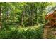 Lush backyard with mature trees, gardens, and a wooden deck, creating a private outdoor retreat at 1950 Wenlok Ne Trl, Marietta, GA 30066