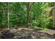 A mulched backyard area with a charming stone fire pit, perfect for relaxing and entertaining in a natural setting at 4971 Fairhaven Ne Way, Roswell, GA 30075