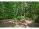 A partially mulched backyard with lush greenery, offering a serene and private outdoor space at 4971 Fairhaven Ne Way, Roswell, GA 30075