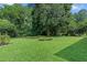 Expansive backyard featuring lush green grass and mature trees at 2483 Hunting Valley Dr, Decatur, GA 30033