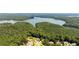 Breathtaking aerial view of the lakefront community and lush surrounding forest at 619 Lovinggood Trl, Woodstock, GA 30189