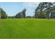 Lush green open space, ideal for recreational activities and enjoying the outdoors at 1125 Fairview Club Cir, Dacula, GA 30019