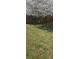 Spacious backyard with a grassy lawn and mature shade tree at 116 Ventura Trl, Stockbridge, GA 30281