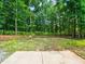 Large backyard with mature trees, providing a private and natural setting for outdoor enjoyment and relaxation at 3640 Pollys Blf, Cumming, GA 30028