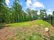 Grassy backyard with wooden fence and black iron fence surrounding the property at 3640 Pollys Blf, Cumming, GA 30028