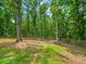 Spacious backyard featuring a wooden fence, mature trees and a picnic table at 3640 Pollys Blf, Cumming, GA 30028