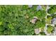 Overhead view of homes nestled amongst trees, offering privacy in a natural setting at 1788 River Bluff Vw, Duluth, GA 30097
