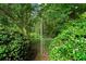 Fenced area with dense foliage adds privacy and security to the home's backyard at 2340 Castleridge Ct, Tucker, GA 30084