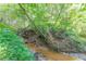 Creek in wooded area featuring dense greenery along the banks and shallow, slow-moving water at 3109 Albatross Ln, Decatur, GA 30034