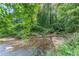 Back of property with creek and natural green foliage at 3109 Albatross Ln, Decatur, GA 30034