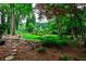 Overgrown backyard with lush green lawn, mature trees, potted plants, and a stone pathway at 3747 Sturbridge Ct, Tucker, GA 30084