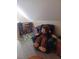 Cozy playroom featuring a blue chair, a large stuffed monkey, and an assortment of toys at 969 Golden Meadows Ln, Loganville, GA 30052
