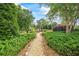 Gravel backyard path lined with manicured hedges and mature shade trees at 4239 Lower Jersey Rd, Covington, GA 30014