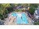 Aerial view of the community pool with sun loungers and umbrellas, perfect for summer relaxation at 5059 Winding Hills Lane Ln, Woodstock, GA 30189