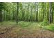 Beautiful wooded backyard featuring mature trees and natural ground cover, offering privacy at 400 Mccart Rd, Mcdonough, GA 30252