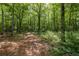 A picturesque land view showcasing mature trees, foliage, and a natural path, offering a serene setting at 400 Mccart Rd, Mcdonough, GA 30252