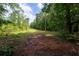 View of the land featuring a dirt path and mature trees at 400 Mccart Rd, Mcdonough, GA 30252