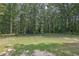 Expansive grassy yard, surrounded by mature trees, providing a serene and private outdoor space at 2546 N Crestview Dr, Grayson, GA 30017
