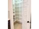 Spacious walk-in pantry with custom shelving and door organizer, offering ample storage solutions for any homeowner at 3871 Portland Trail Dr, Suwanee, GA 30024