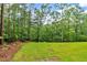 View of the flat backyard surrounded by mature trees offering shade and privacy at 7449 Waterview Cv, Douglasville, GA 30135
