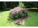 The backyard has a beautiful Japanese Maple planted in a garden box at 742 Starlight Ne Ct, Sandy Springs, GA 30342
