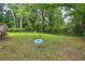 Lush backyard features a tire swing hanging from a tree, surrounded by green grass and mature trees at 1617 Columbia Cir, Decatur, GA 30032