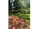 A lush green backyard with mature trees, perfect for outdoor enjoyment and relaxation at 10591 Flat Shoals Rd Rd, Covington, GA 30016