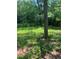 A lot of land ready to be built with lots of greenery and a partially cleared grassy area at 10591 Flat Shoals Rd Rd, Covington, GA 30016