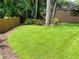 Green backyard enclosed by a wood fence, offering privacy and space at 735 Jamie Ne Way, Woodstock, GA 30188