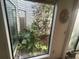 Bright atrium view of a small fern garden, framed by a large window at 975 Willeo Rd, Roswell, GA 30075