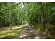 Long driveway leading to a house through a lush, green forest at 7448 Berea Road, Winston, GA 30187