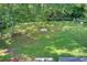 Aerial view of the expansive backyard, showcasing the lawn and surrounding greenery at 2619 Old Toney Rd, Ellenwood, GA 30294