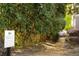 Beautiful walking trail surrounded by lush greenery with mature trees and flowering bushes along the path at 11715 Dancliff Trce, Alpharetta, GA 30009