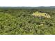 An aerial view showing the lush, wooded surroundings of the property at 257 Martin Ln, Canton, GA 30114