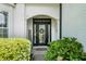 Elegant front door with decorative glass, complemented by lush greenery and a welcoming ambiance at 217 Springs Xing, Canton, GA 30114