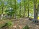 Wooded backyard featuring mature trees, a wooden fence, and a private, shaded area perfect for outdoor activities and relaxation at 443 Rhett Dr, Loganville, GA 30052