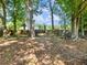 Large backyard featuring mature trees, a trampoline, a wooden fence, and a private, shaded space for relaxation and play at 443 Rhett Dr, Loganville, GA 30052
