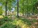 Overhead shot of the backyard with mature trees, a wooden fence, trampoline, and a large grassy area with the house behind at 443 Rhett Dr, Loganville, GA 30052