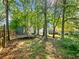 Private backyard featuring a trampoline, mature trees, and a wooden fence for added privacy and outdoor enjoyment at 443 Rhett Dr, Loganville, GA 30052