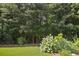 Lush backyard with mature trees, a green lawn, and a charming white flowering bush adding natural beauty at 308 Shade Tree Cir, Woodstock, GA 30188