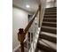 Carpeted staircase with a wooden handrail leading upstairs in a well-lit area of the home at 11800 Carriage Park Ln, Johns Creek, GA 30097